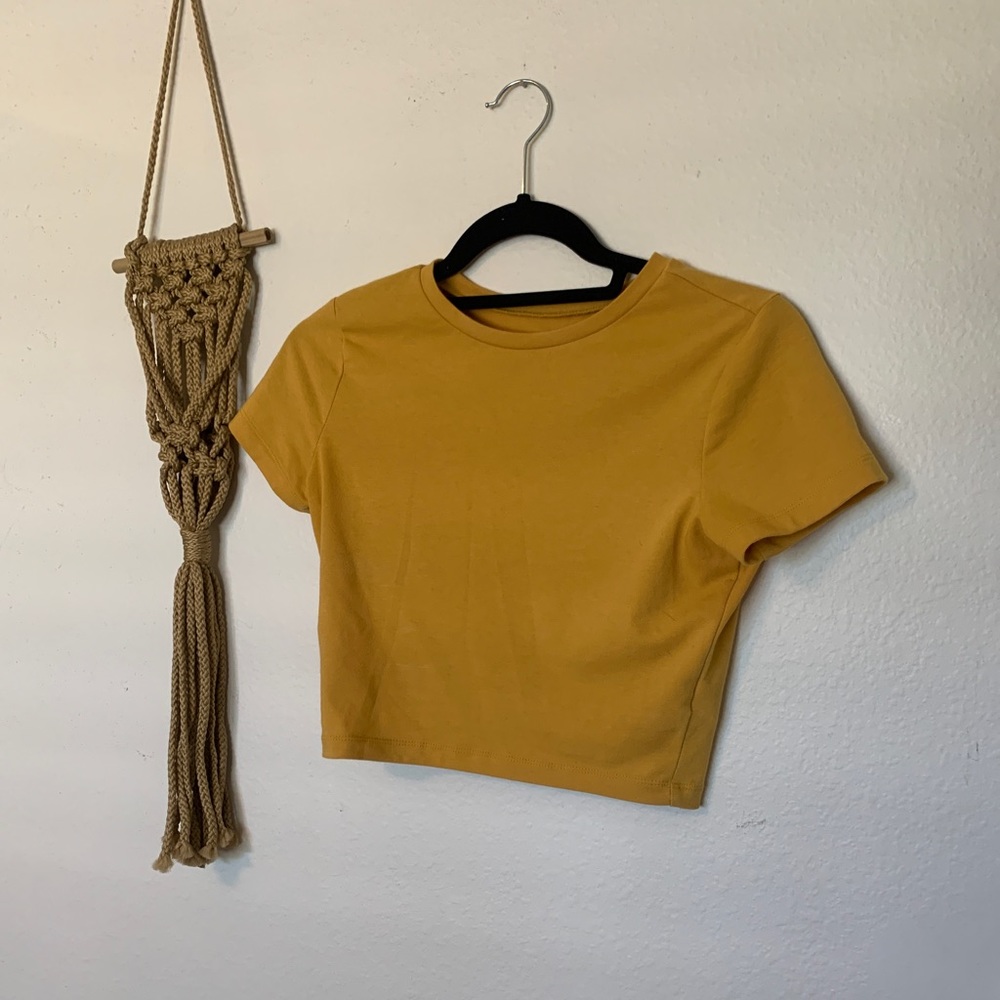 Wild Fable Crop Top